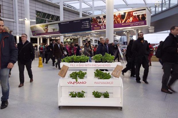 Vapiano gives away fresh herbs to promote its Corn Exchange launch