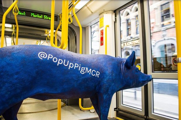 Blue Pig’s bacon is saved! Much loved bar returns via a pop-up