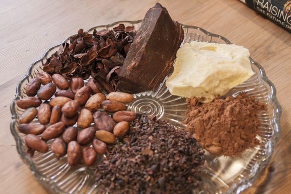 Cocoa Beans and Cacao