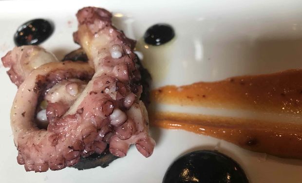 Launching on February 13, Evuna’s tentacles extend to Altrincham