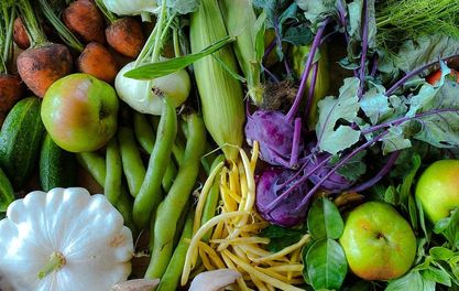 THIS MONTH: New monthly farmer's market returns at Track Brewing Co