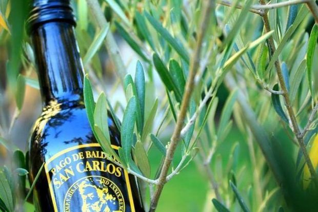 Scent of Spain: PAGO BALDIOS SAN CARLOS OLIVE OIL and IBERICA CANAPES TASTING