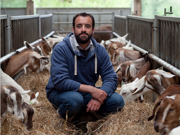 It's all kid's stuff at the Creameries' Goatober celebration