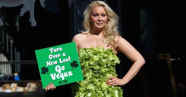 North’s biggest vegan festival is back in Manchester