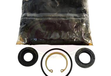 Steering Gear Seal Kit, Adjusting Plug (up to 96) (J8130157 / JM-01365 / Crown Automotive)