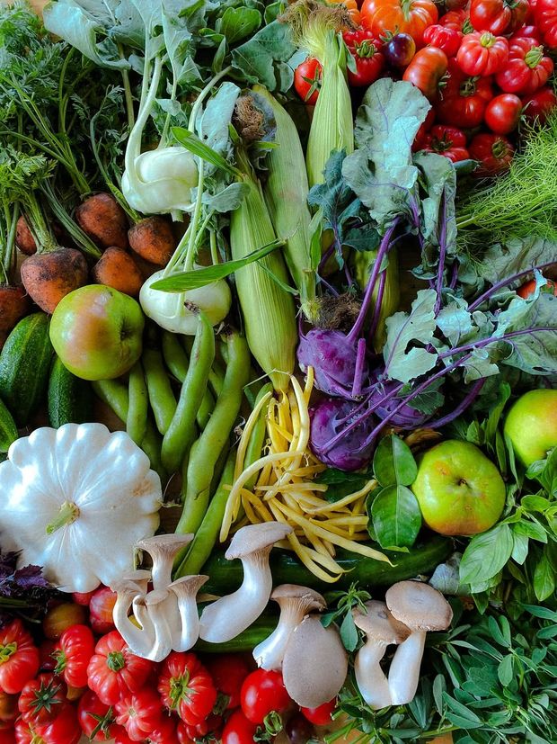 THIS MONTH: New monthly farmer's market returns at Track Brewing Co