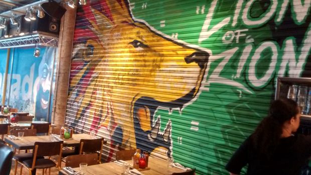 GALLERY: Sneak Peek inside Turtle Bay, NQ