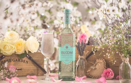 Foraged food and the finest floral gins at Allotment NQ