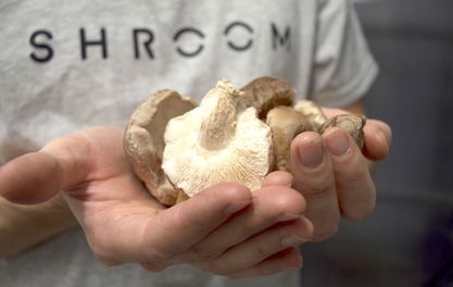 Massive Change: Top Speakers set out the future of food production in Manchester 