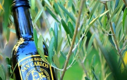 Scent of Spain: PAGO BALDIOS SAN CARLOS OLIVE OIL and IBERICA CANAPES TASTING