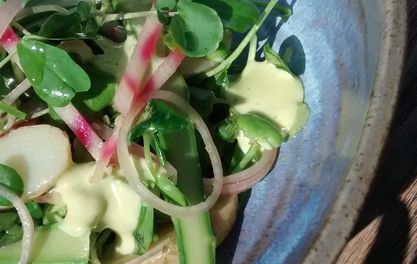 Volta has a Spring in its Step with New Menu  