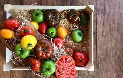 Chef of the Year Matt to plant top vegan eaterie Allotment in City Centre