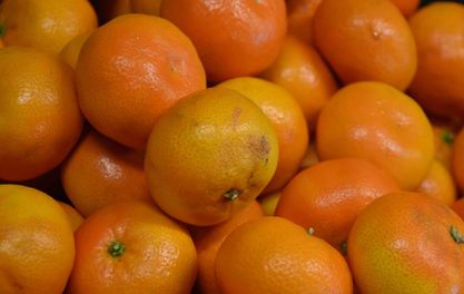 Marble's fruitful collaboration to brew a beer for a valuable cause