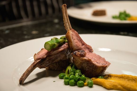 TNQ lamb