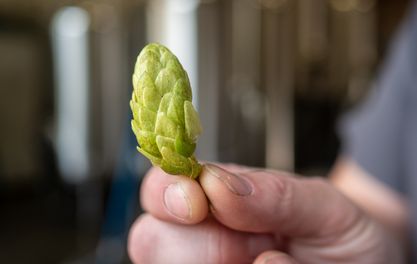 Indy Man Beer Con creates ‘green’ beer with JW Lees to spark talks about sustainability 