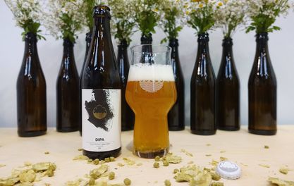 Dream link-up between Cloudwater and Where The Light Gets In