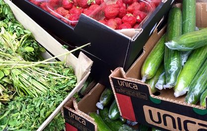 Join the Fight on Food Waste: Urban Gleaners Needed
