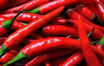Swinton Chilli Fest – Some Like It Hot