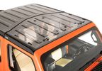 SkyLite Clear Hardtop Panel, JL, JT (11170-2001 / JM-07411 / Quadratec)