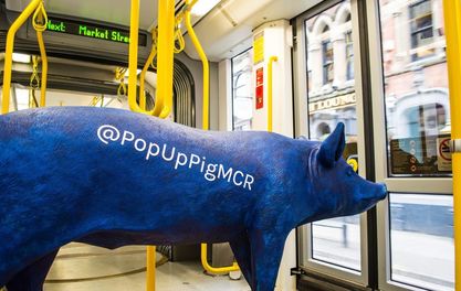 Blue Pig’s bacon is saved! Much loved bar returns via a pop-up