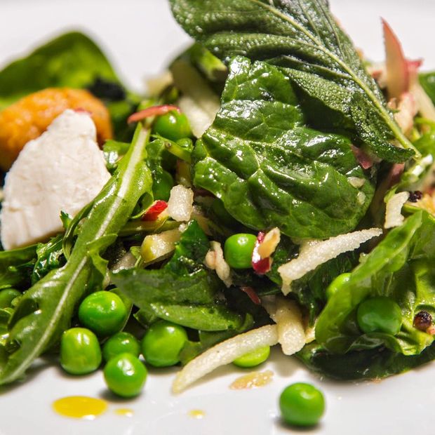 Vote vegan! Matthew Nutter for The Wonder Inn… and plant-based food fests sprout