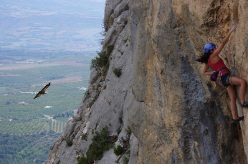 climbing with vultures