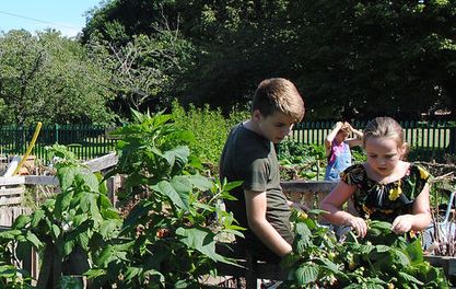 Don’t miss these brilliant autumn family activities at Platt Fields