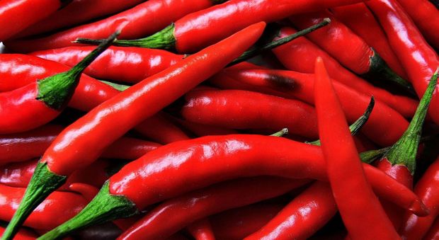 Swinton Chilli Fest – Some Like It Hot