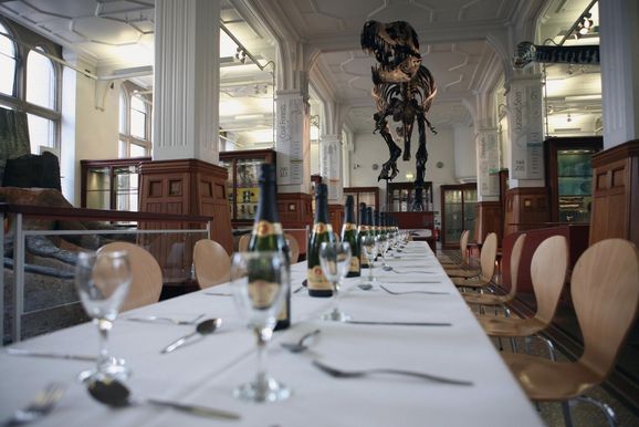 Manchester Museum