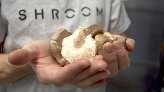 Massive Change: Top Speakers set out the future of food production in Manchester 