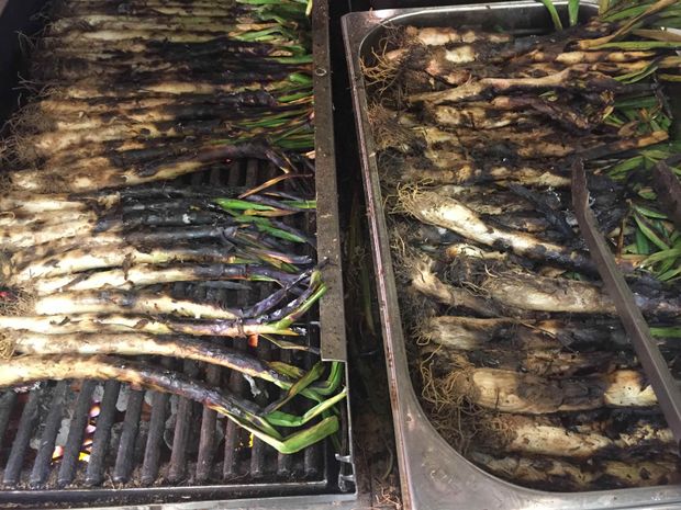 Oh Calcotada! Lunya’s flame-grilled fiesta kickstarts their spring tastings