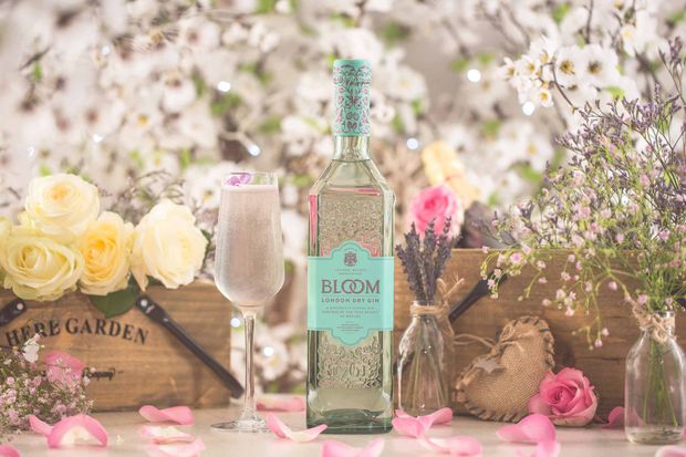 Foraged food and the finest floral gins at Allotment NQ
