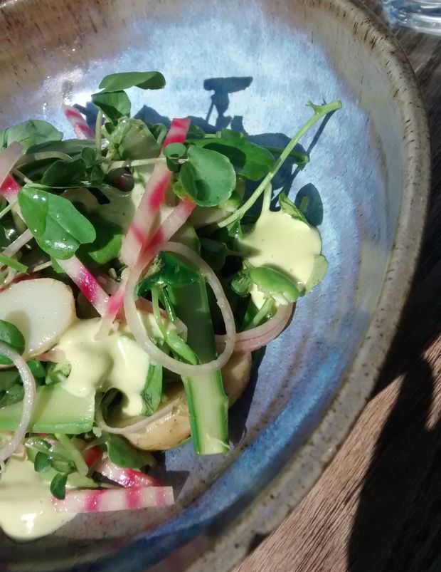 Volta has a Spring in its Step with New Menu  