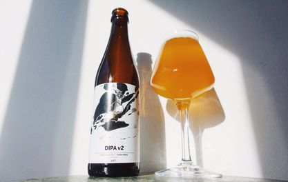 LIFE BEERS: TERMINATOR V2 JUDGEMENT DIPA 