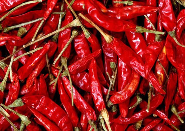 Some like it really hot – Bab toasts National Chilli Day with a scorching taste-off